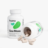 Sea Moss | Kiyana™ | Organically Sourced Supplements